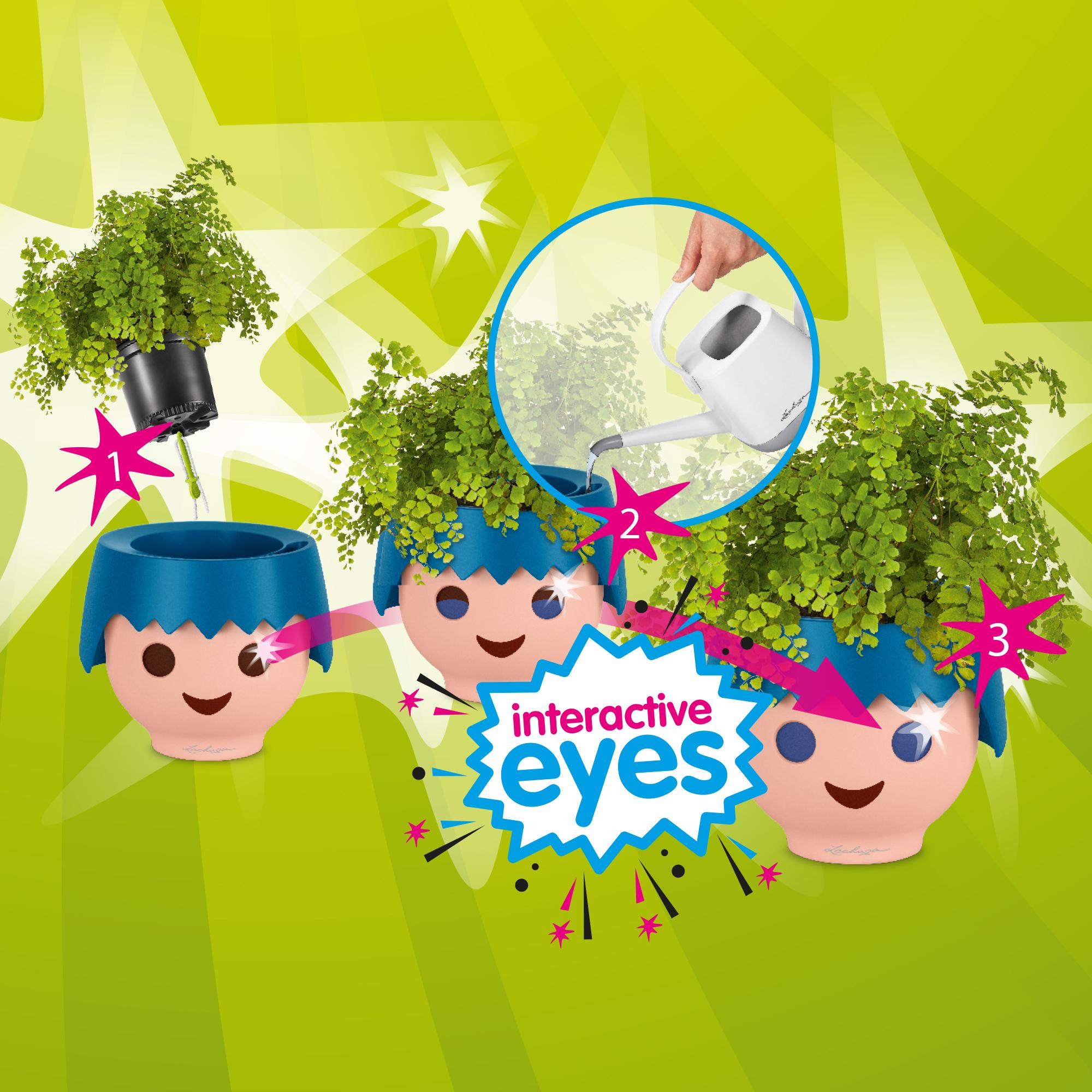 Lechuza Ojo Planting Flowerpots For Children Recently, i purchased the cube cottage 50. lechuza