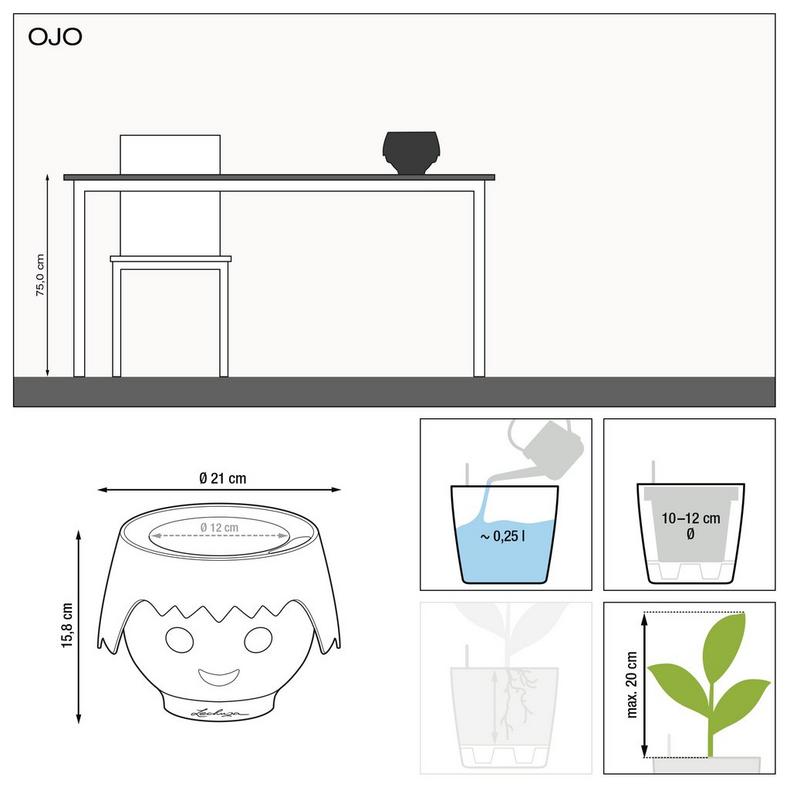 le_ojo_product_addi_nz