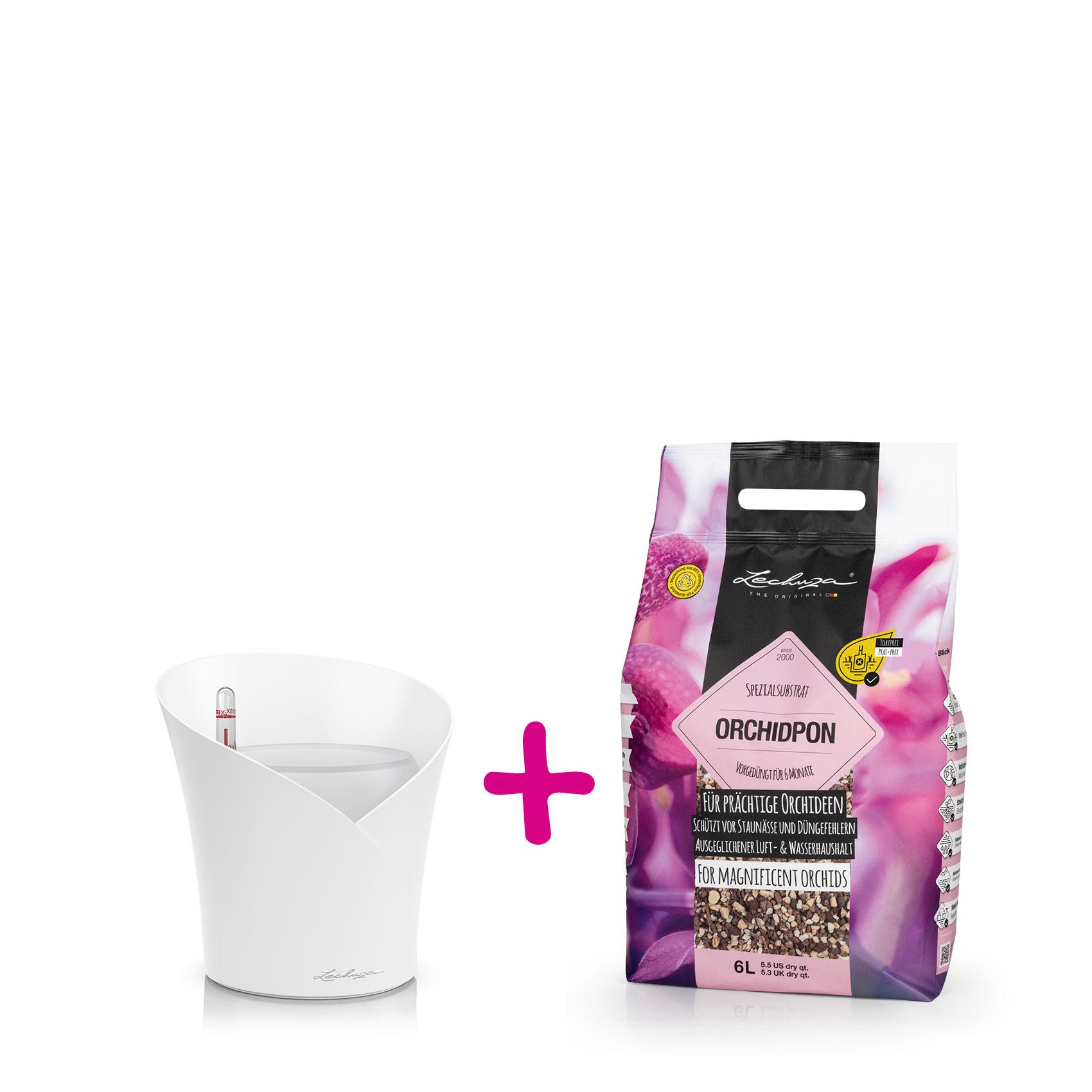ORCHIDEA ORCHIDPON Set