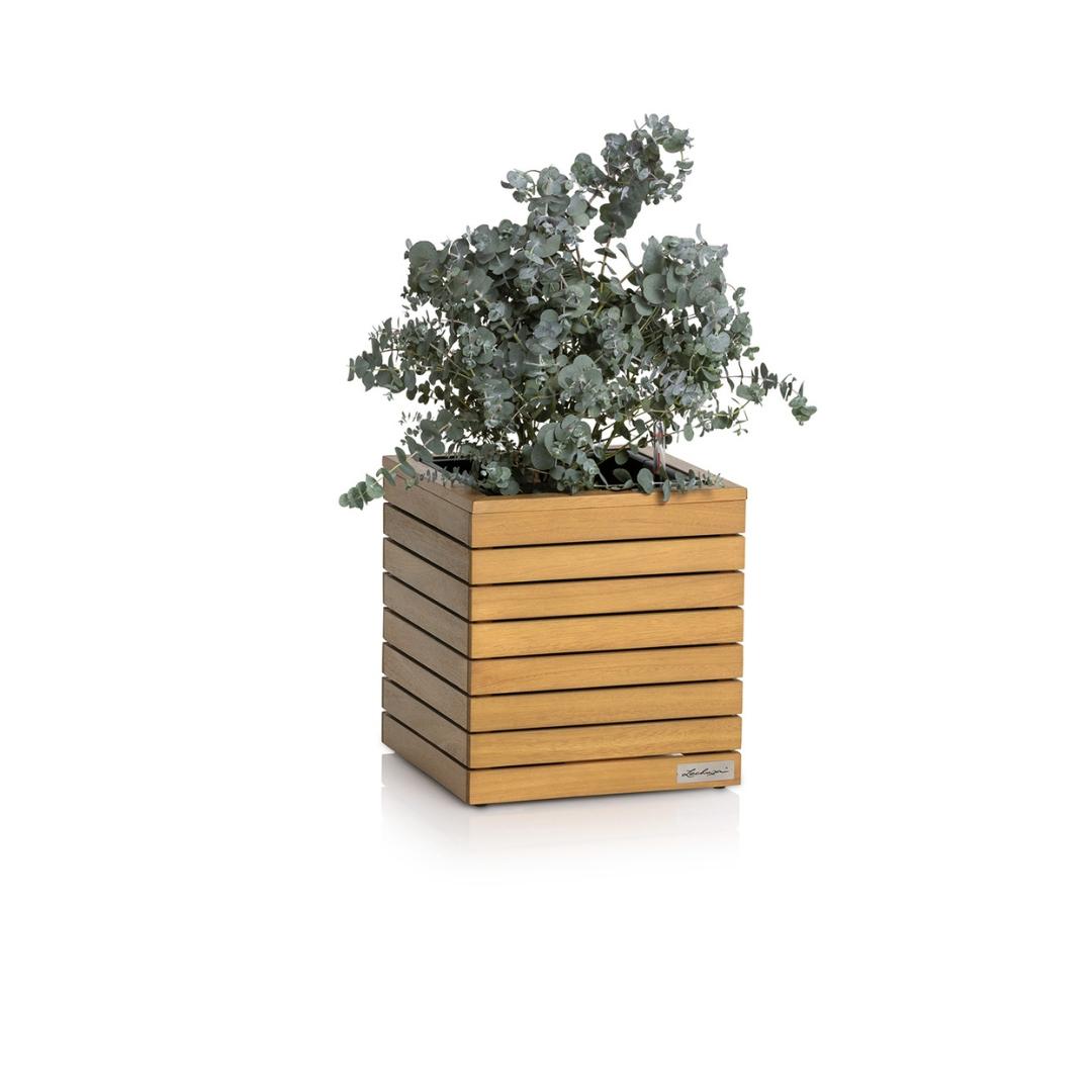 PALO Natural Wood low