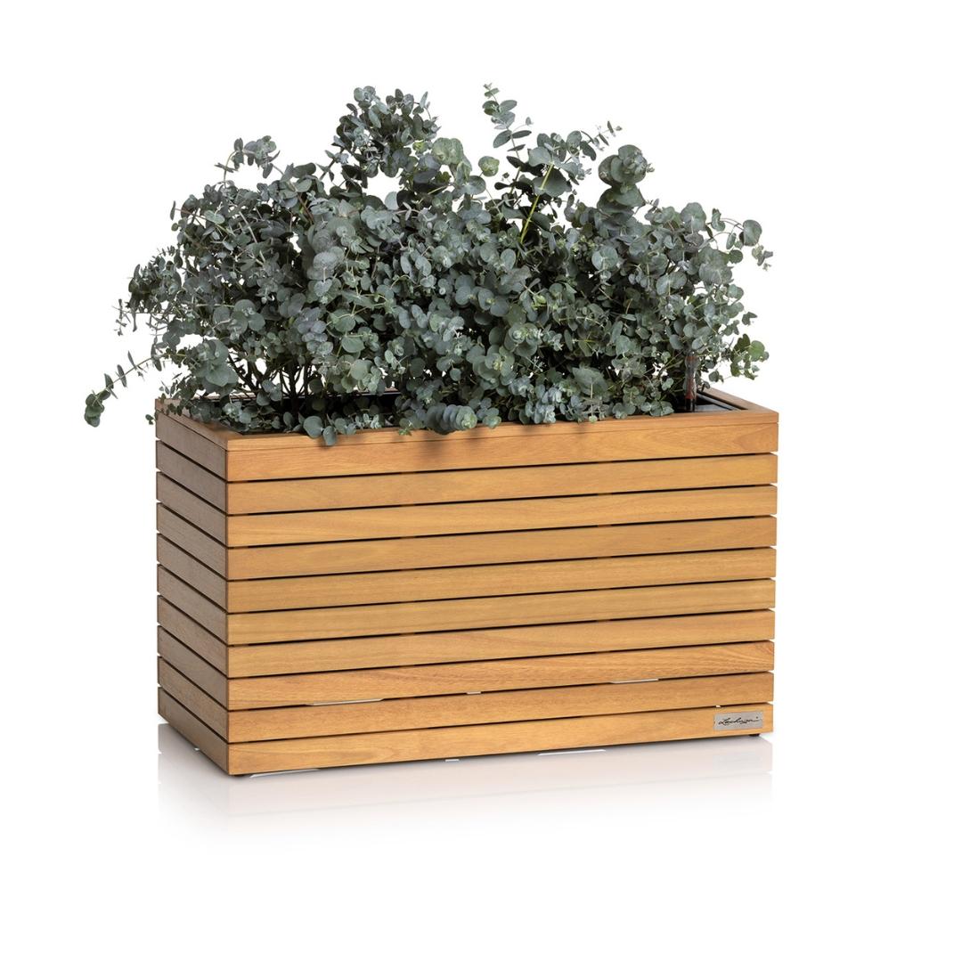 PALO Natural Wood wide