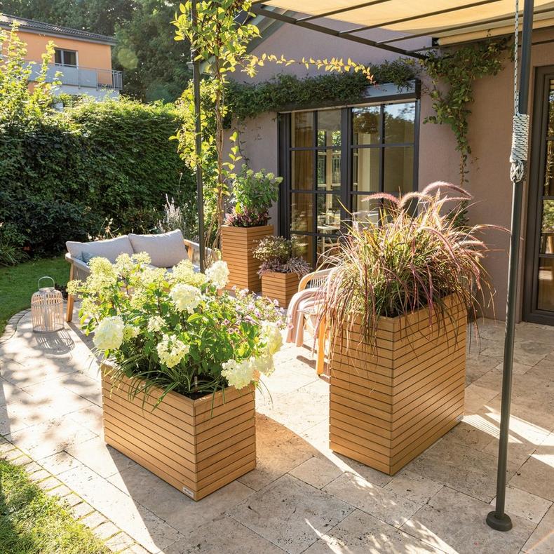 le_palo_product_addi_1