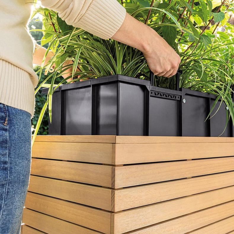 le_palo_product_addi_2