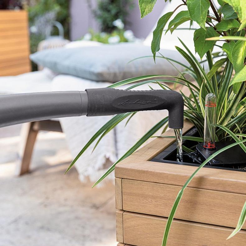 le_palo_product_addi_4