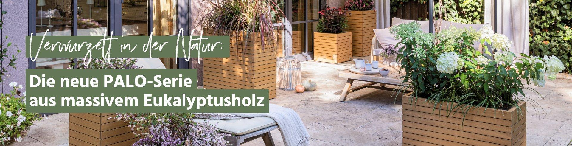 Bl&uuml;hende Deko im Fr&uuml;hling