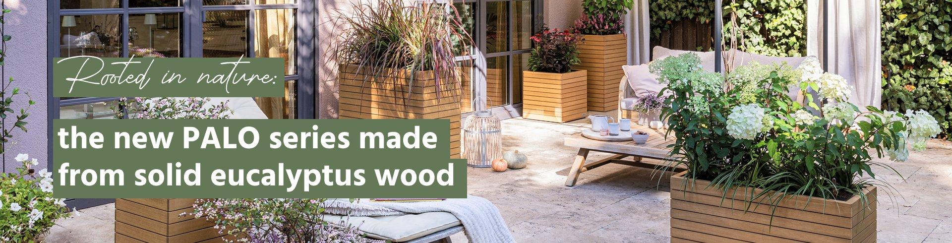 Rooted in nature: the new PALO series made from solid
    eucalyptus wood