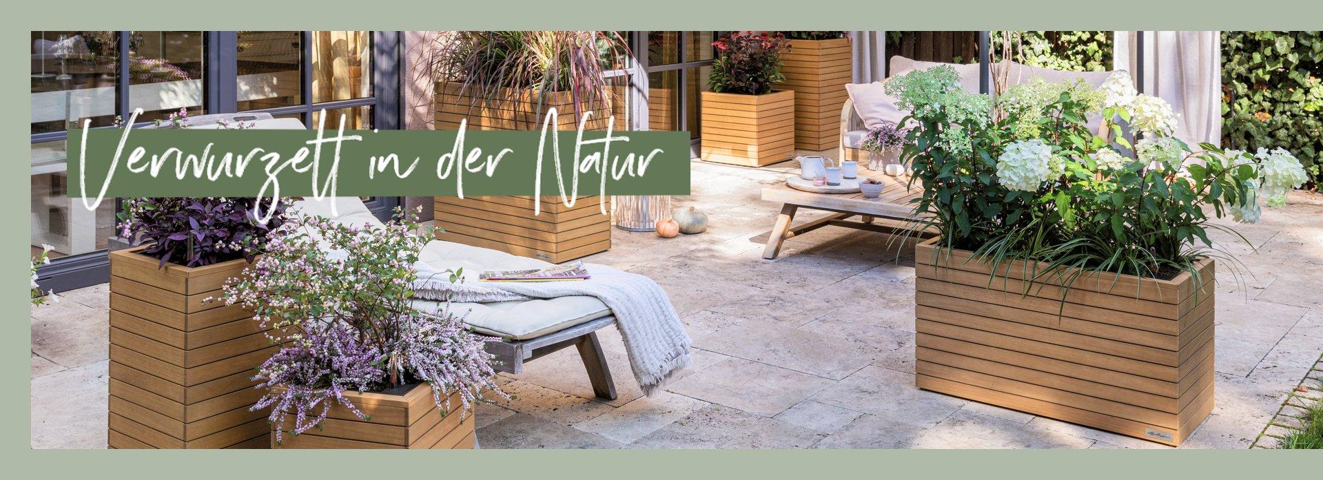 Verwurzelt in der Natur