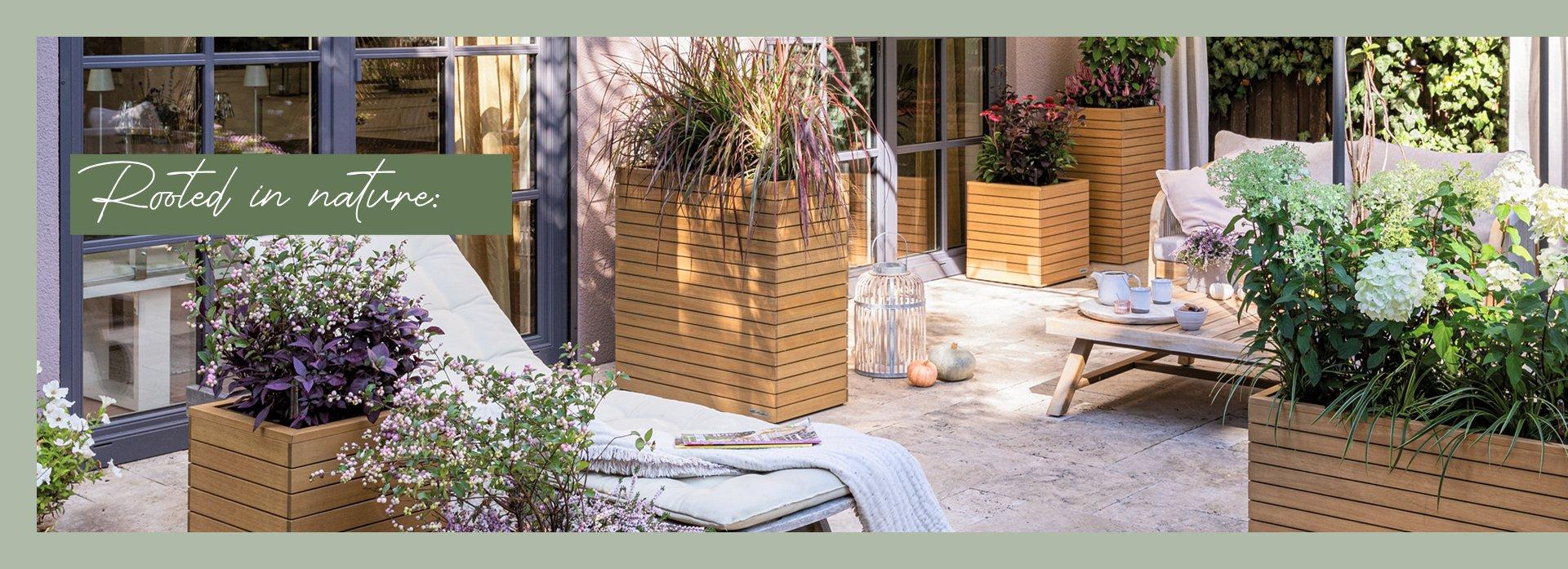 Verwurzelt in der Natur