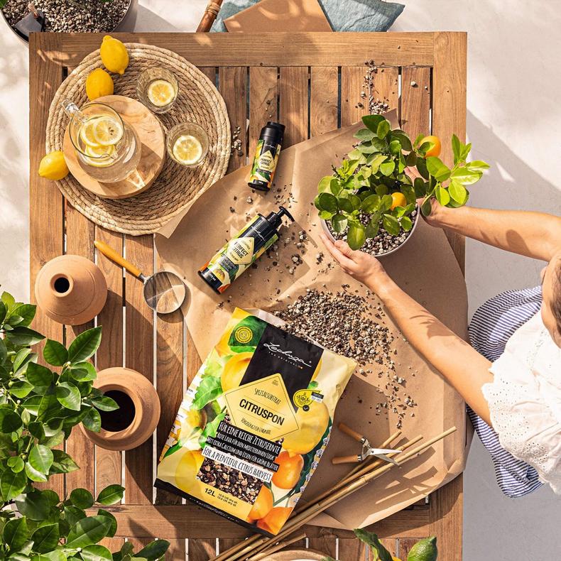 le_perfect-citrus_product_addi_01