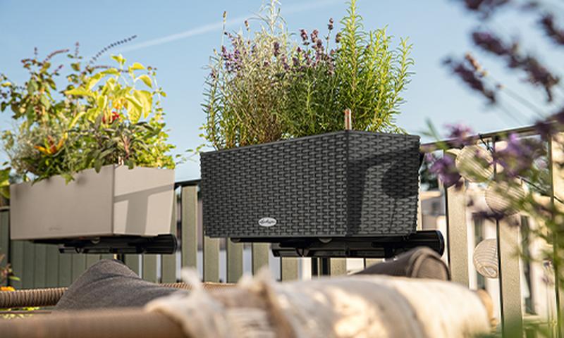 lechuza self watering planters lechuza self watering planters