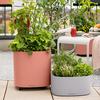 PILA Color Planter koraalrood additional thumb 6