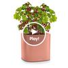 PILA Color Planter coral red additional thumb 1