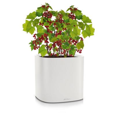 PILA Color Planter light grey