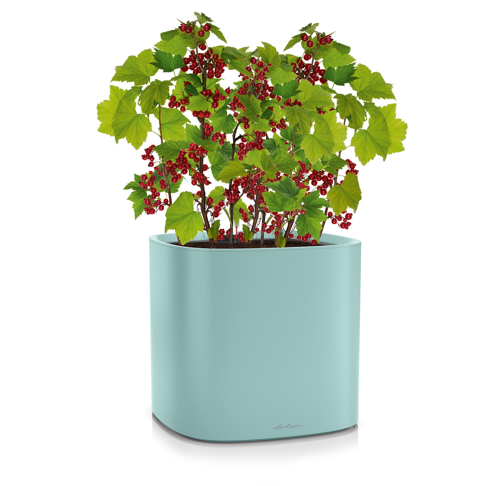 PILA Color Planter vert pastel
