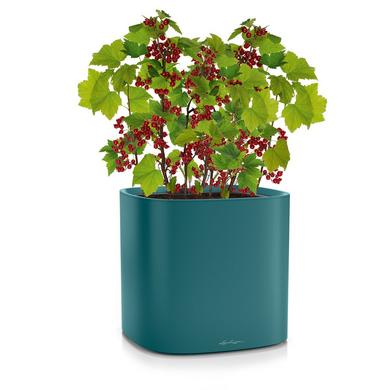 PILA Color Planter petrolblau