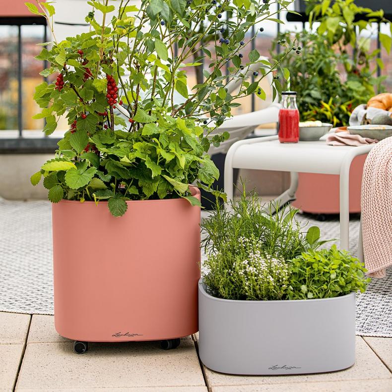 le_pila-color-stick35_product_addi_01