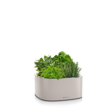 PILA Color Stick sand brown