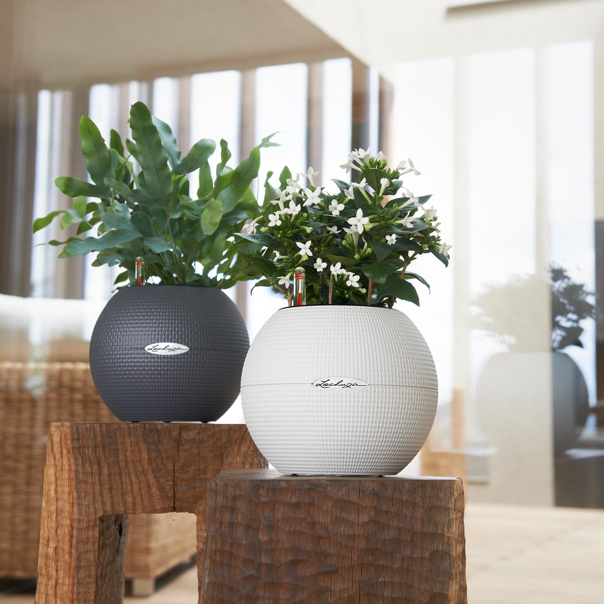 le_puro-color20_product_addi_02