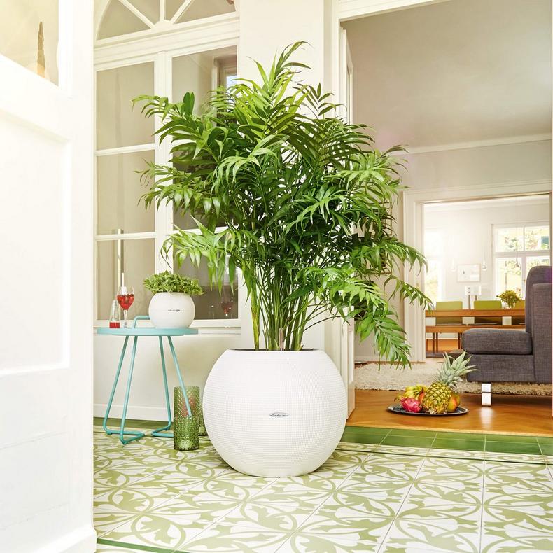 LECHUZA PURO 20 Vaso Con Auto-irrigazione | Bianco, Design Reticolato, Per Interni, Con Substrato E Indicatore Livello