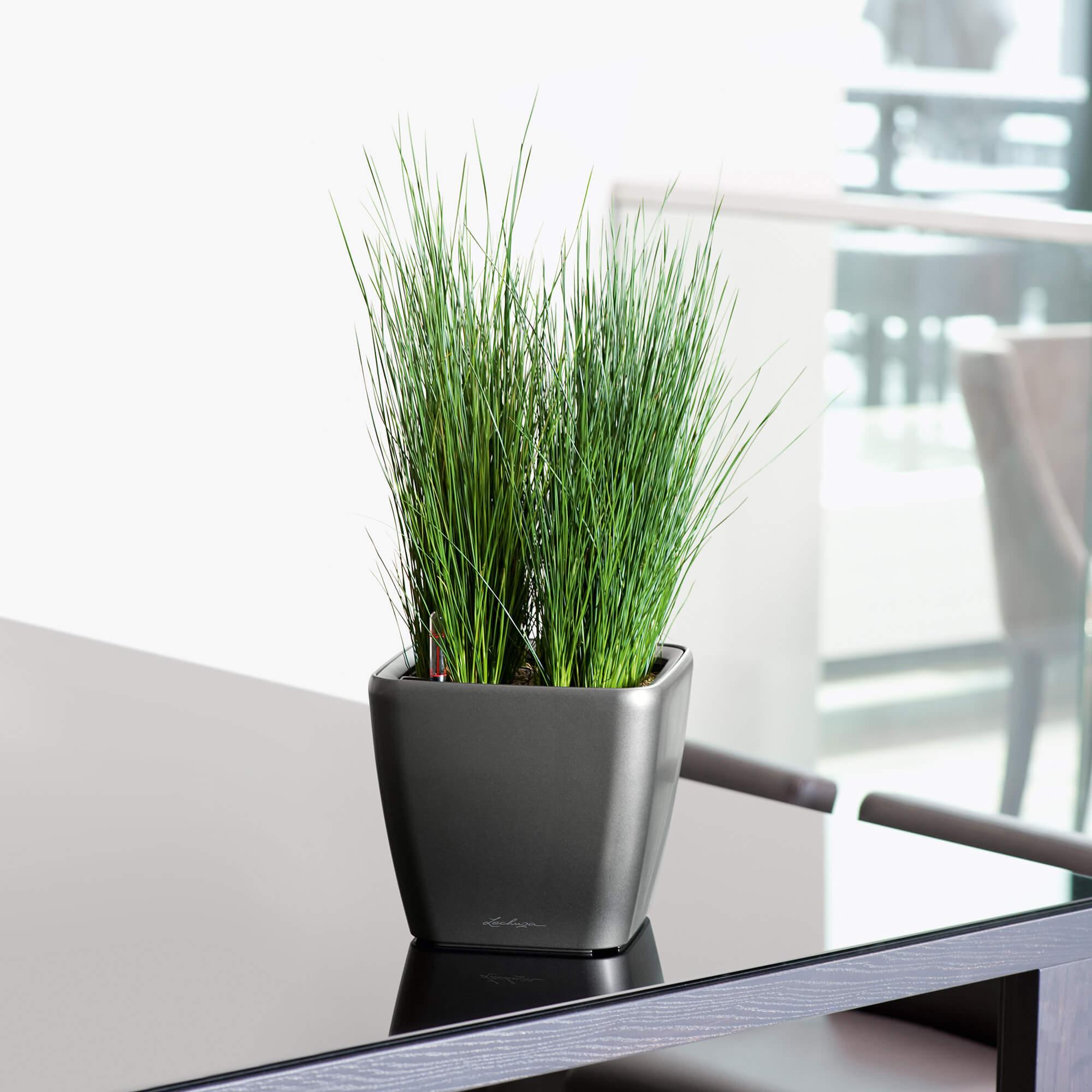 le_quadro-ls21_product_addi_02