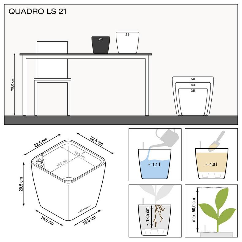 le_quadro-ls21_product_addi_nz