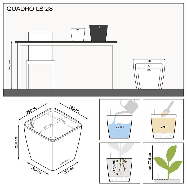 le_quadro-ls28_product_addi_nz