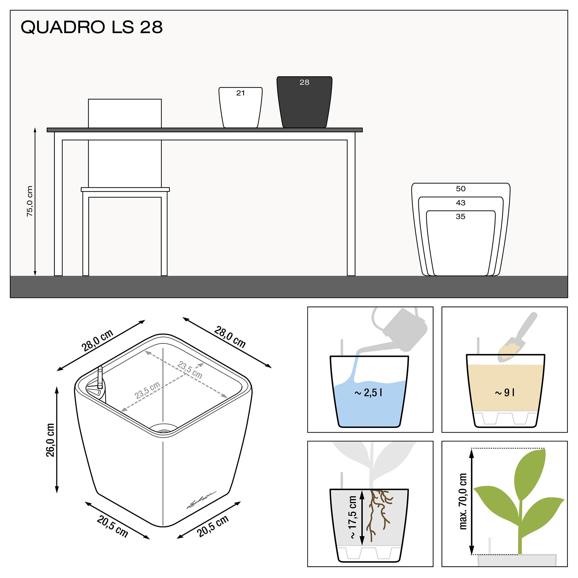 Lechuza Quadro Ls