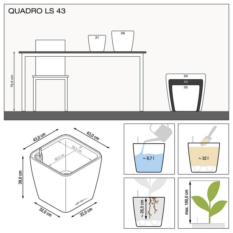le_quadro-ls43_product_addi_nz