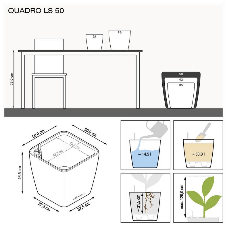 le_quadro-ls50_product_addi_nz