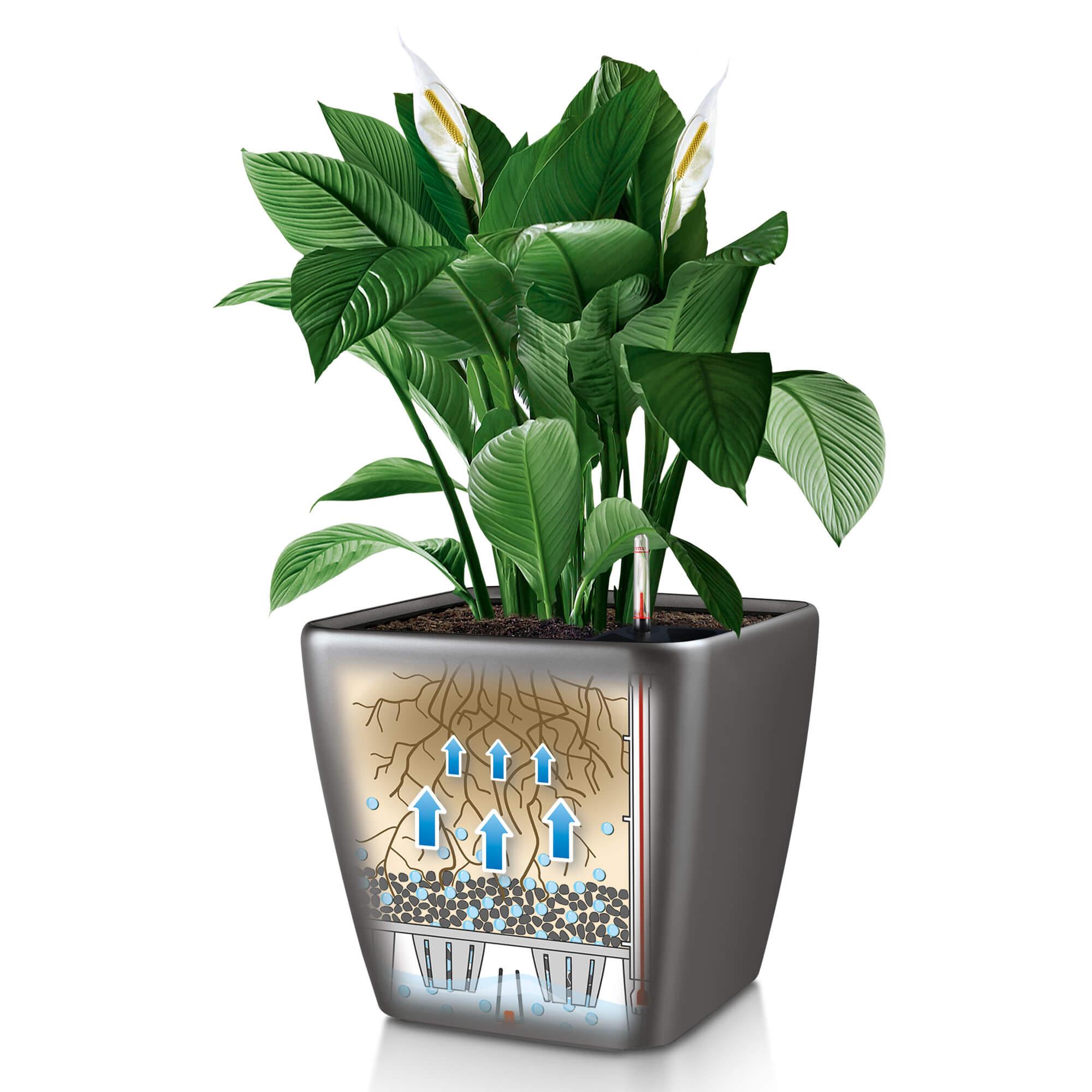 le_quadro-ls_product_addi_sws