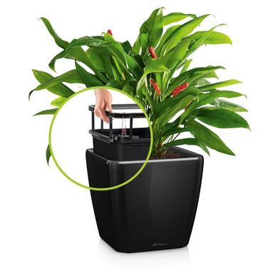 QUADRO LS 21 schwarz hochglanz