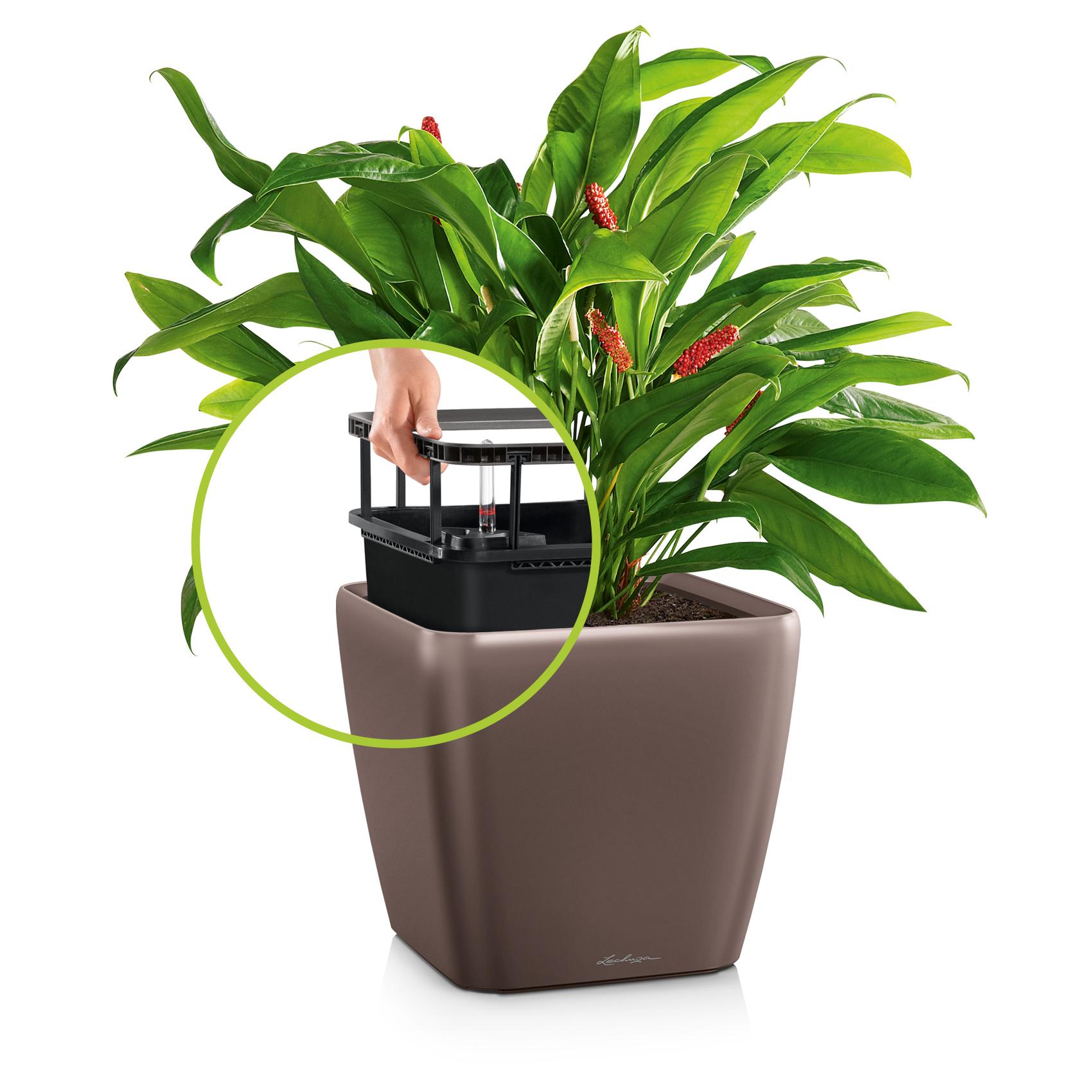 QUADRO LS 28 espresso metallic
