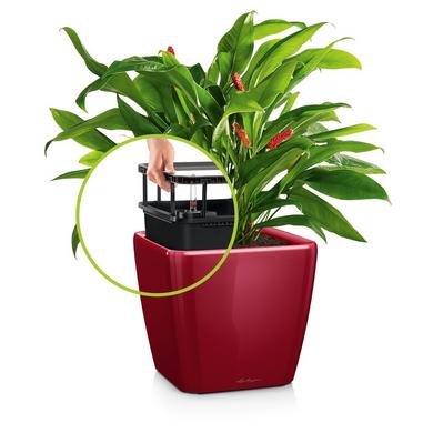 QUADRO LS 21 scarlet rot hochglanz