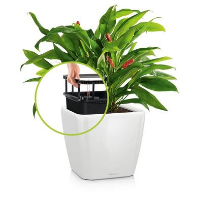 QUADRO LS 21 weiß hochglanz