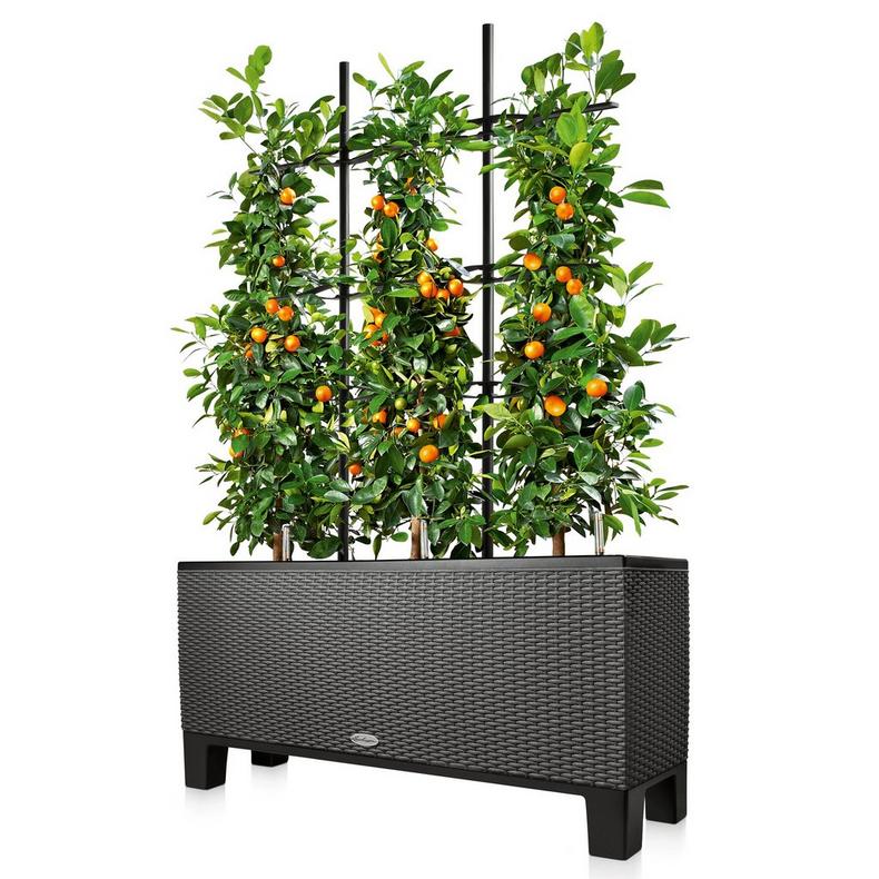 le_rankgitter-trio_product_addi_01