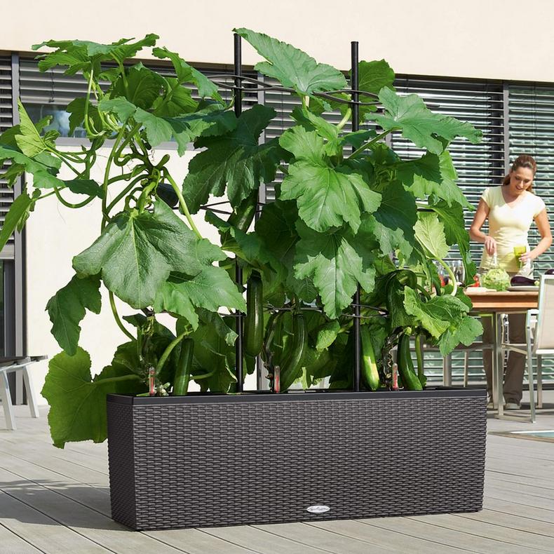 le_rankgitter-trio_product_addi_03