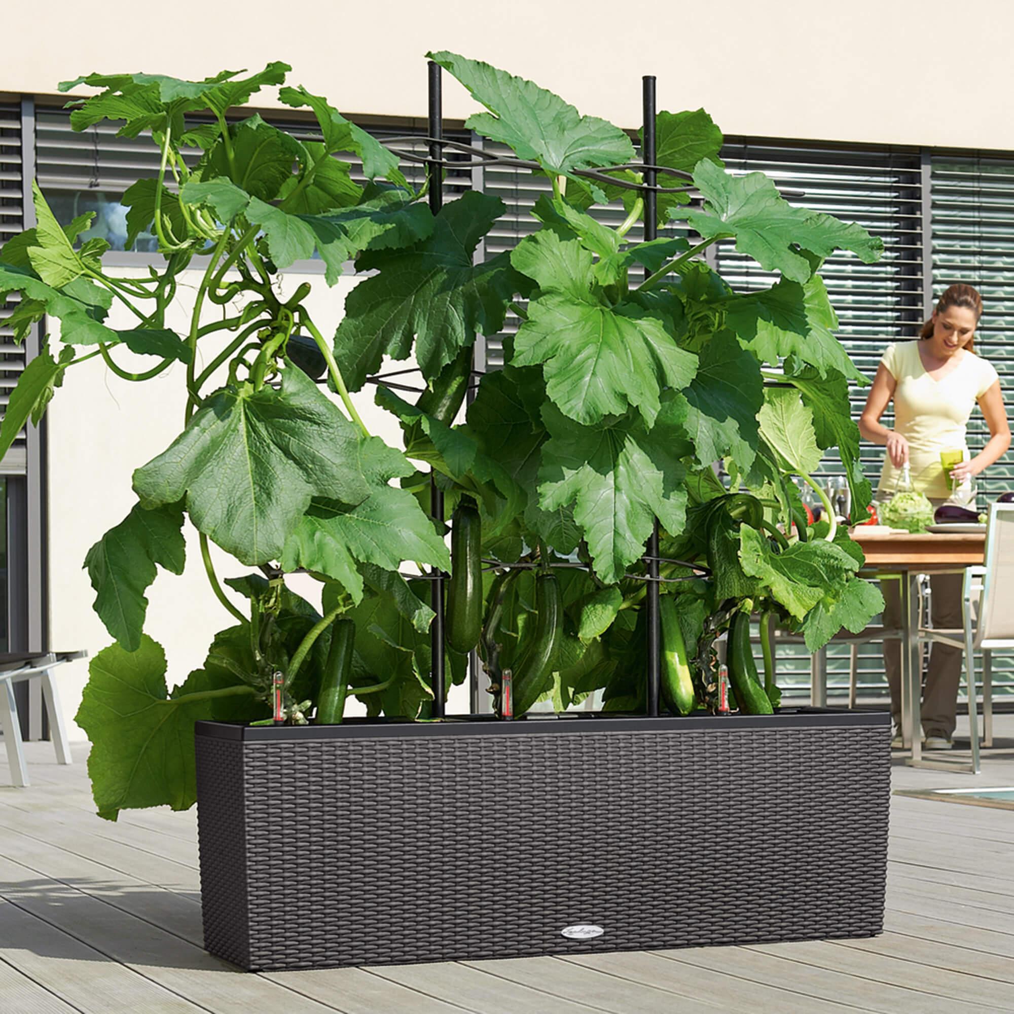 le_rankgitter-trio_product_addi_03