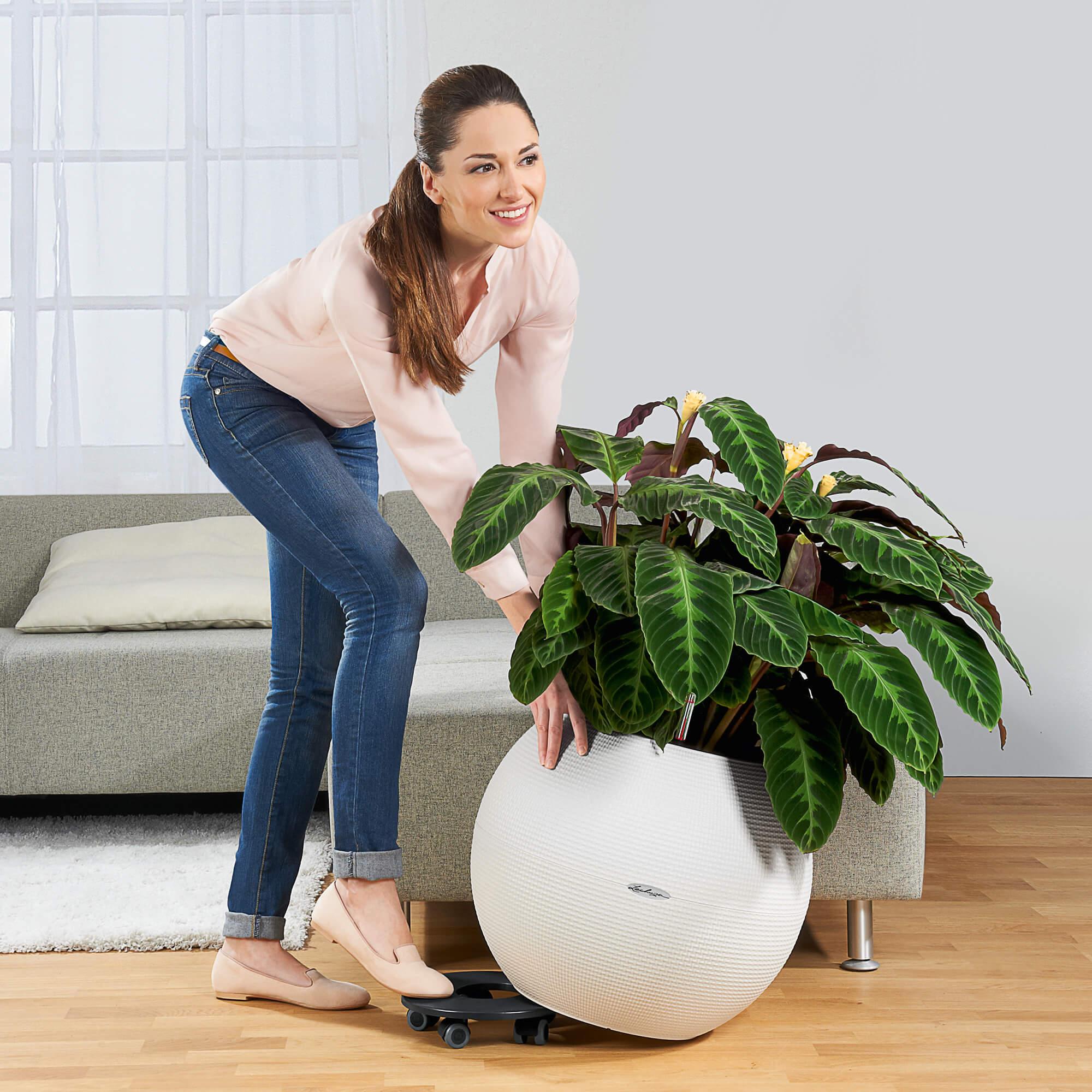 Lechuza Rolluntersetzer für CLASSICO 50/QUADRO 50/CURSIVO 40 - Schwarz (13403) online kaufen