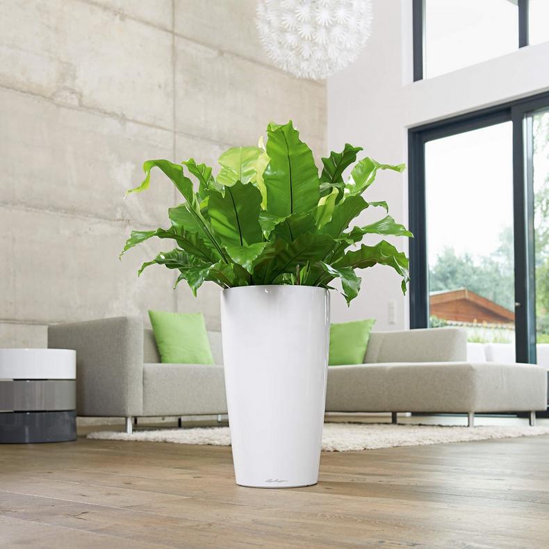 Lechuza Premium Rondo 32cm High Gloss Taupe Self Watering  56cm Tall Planter Pot 