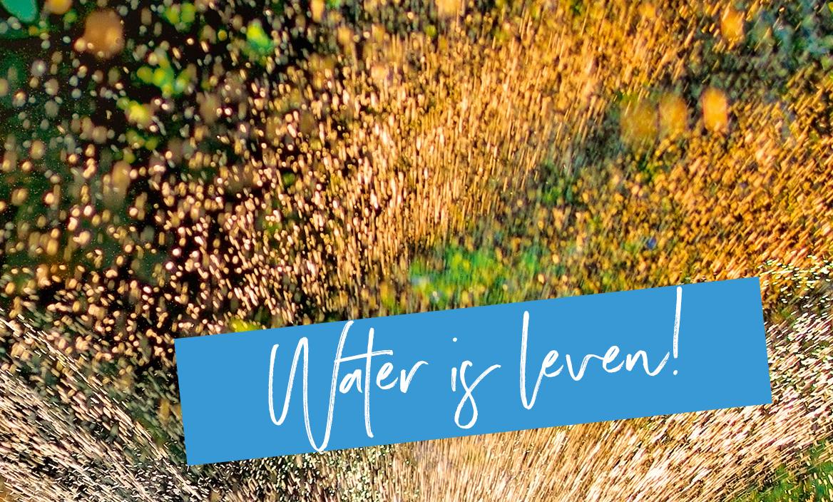 'Het LECHUZA-potgrondbewateringssysteem: Minder vaak water geven