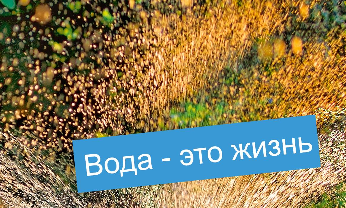 Система автополива LECHUZA : Более редкий полив и оптимальный рост растений