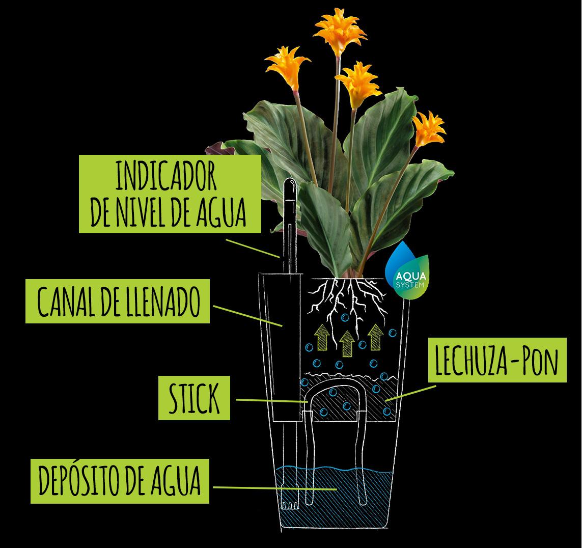 Dibujo con explicación del sistema de mecha