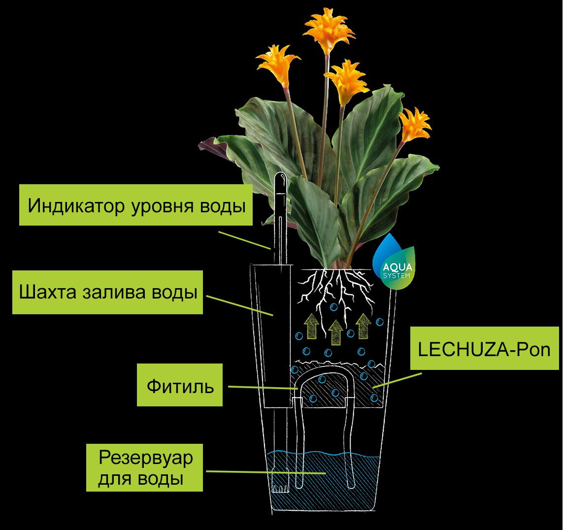 Рисование с объяснением фитильной системы