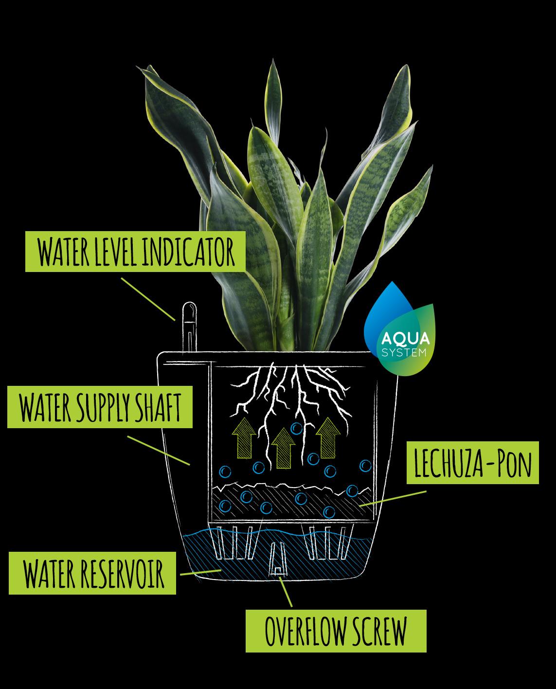 Drawing with explanation of the classic irrigation system