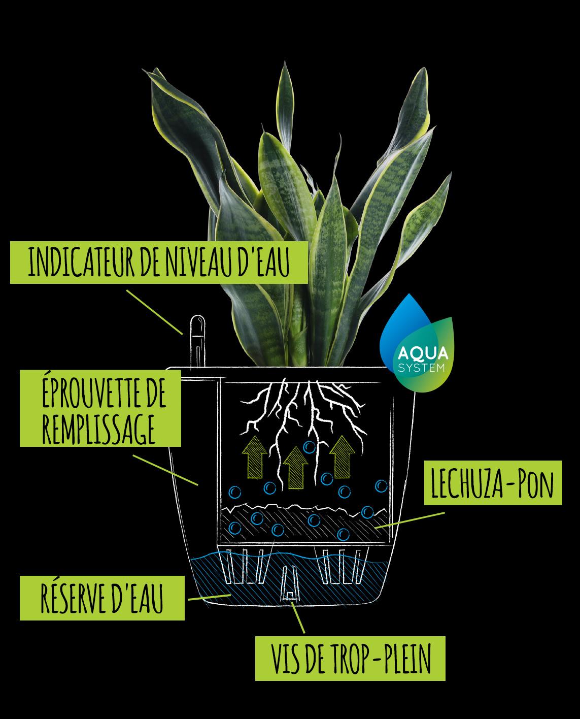 Système d'irrigation LECHUZA pour vos plantes en pot