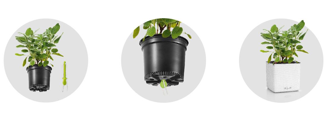 'Wick watering system - plug in