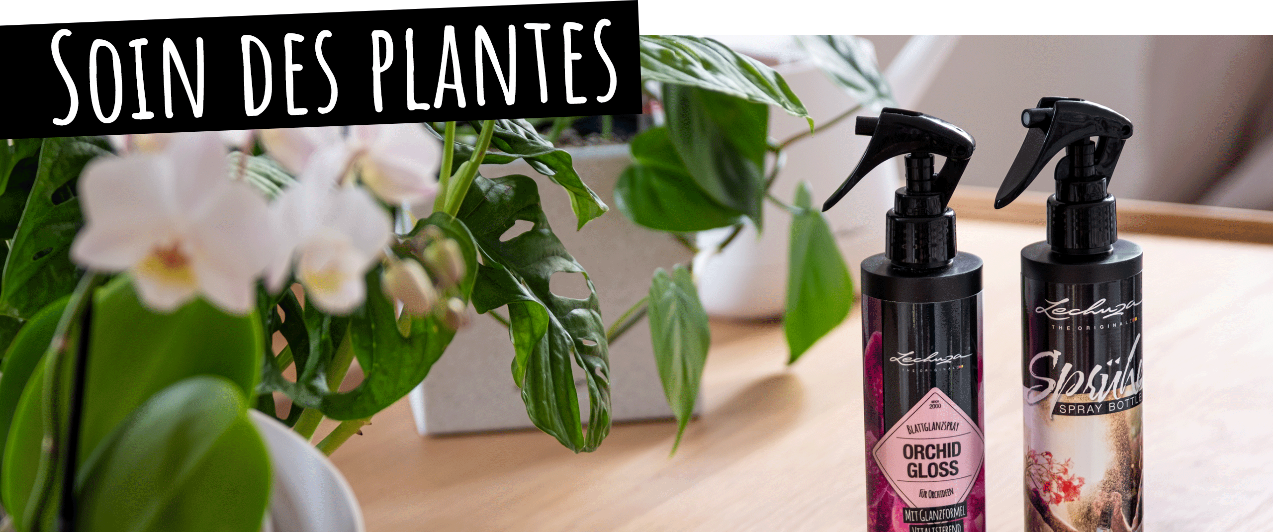 LECHUZA Soin des plantes