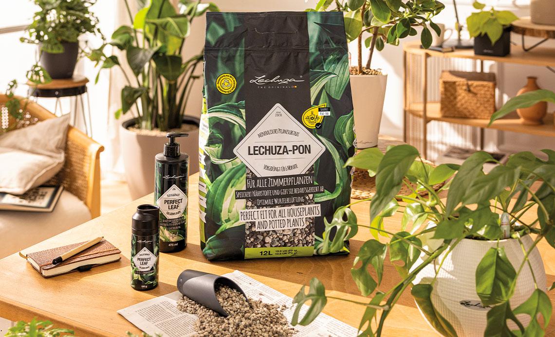 Potting the plants with the LECHUZA substrates