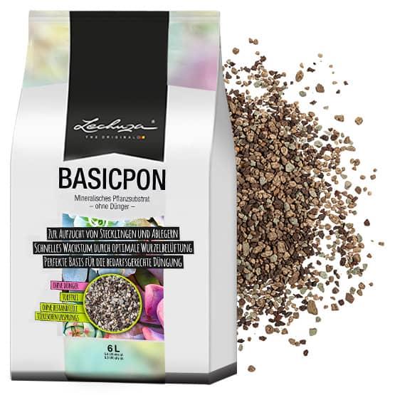 En savoir plus sur BASICPON