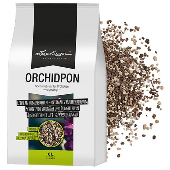 Узнать больше о ORCHIDPON
